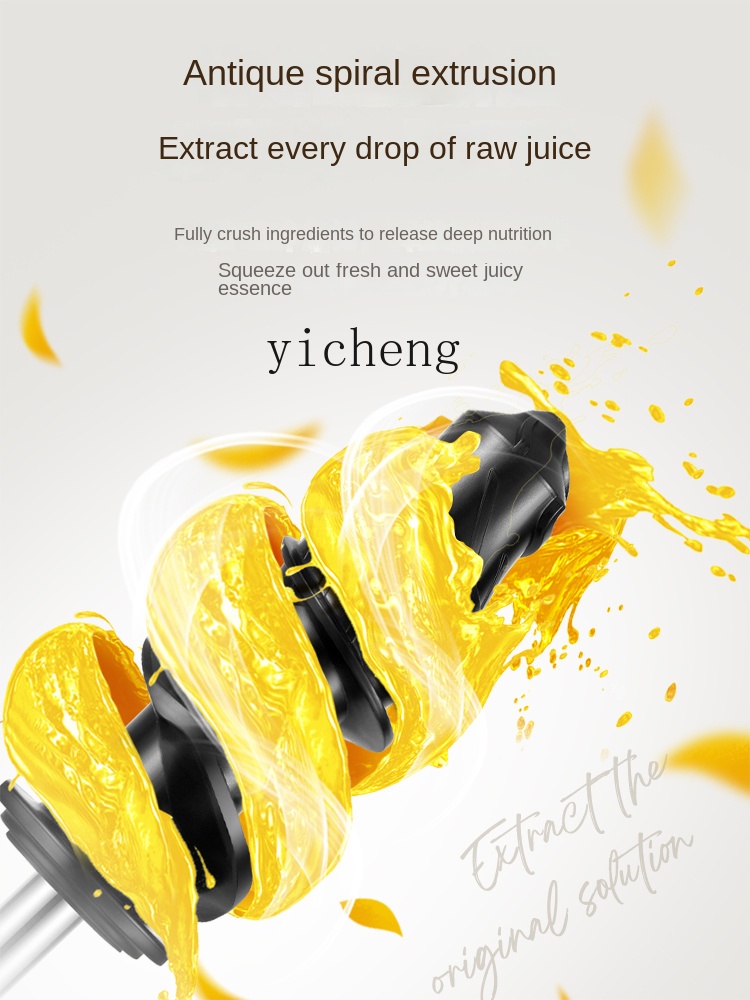cc28 Low Speed Juicer Juicer S - огляд і ціна Juicer