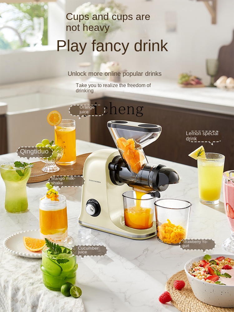 cc28 Low Speed Juicer Juicer S - огляд і ціна Juicer