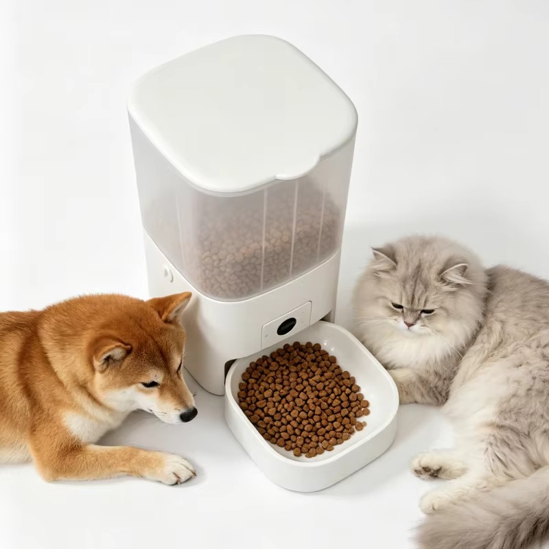 6L Automatic Cat Feeder With C - огляд і ціна Kitchen Appliances Video