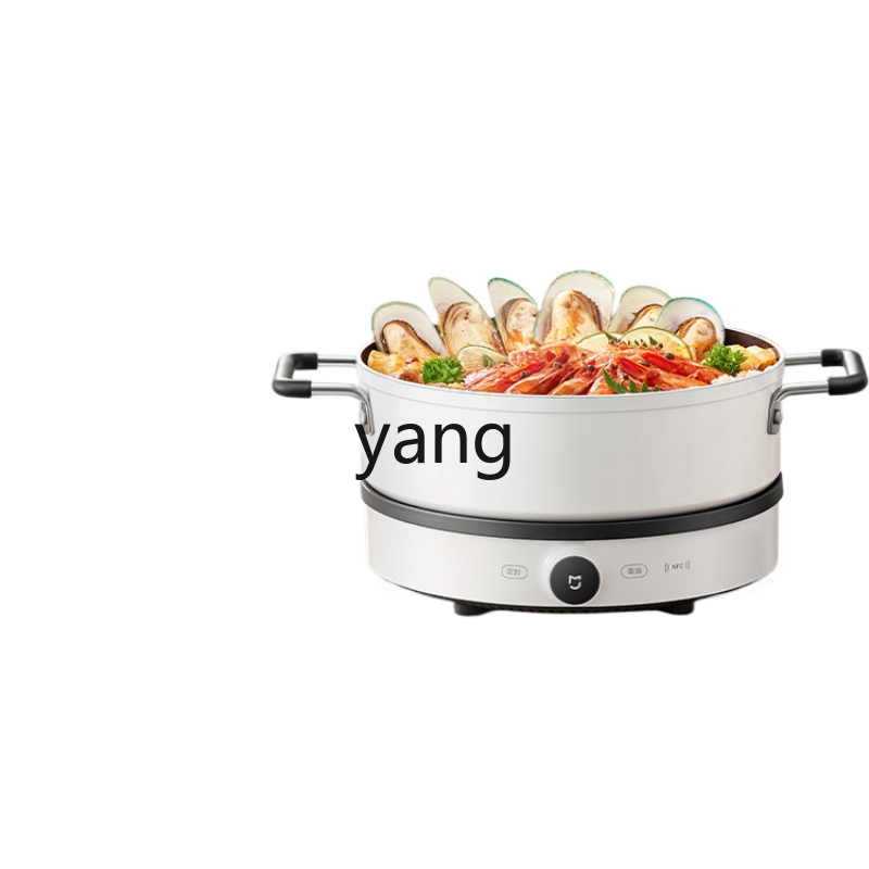 LMM  Induction Cooker Househol - огляд і ціна Induction Cooker