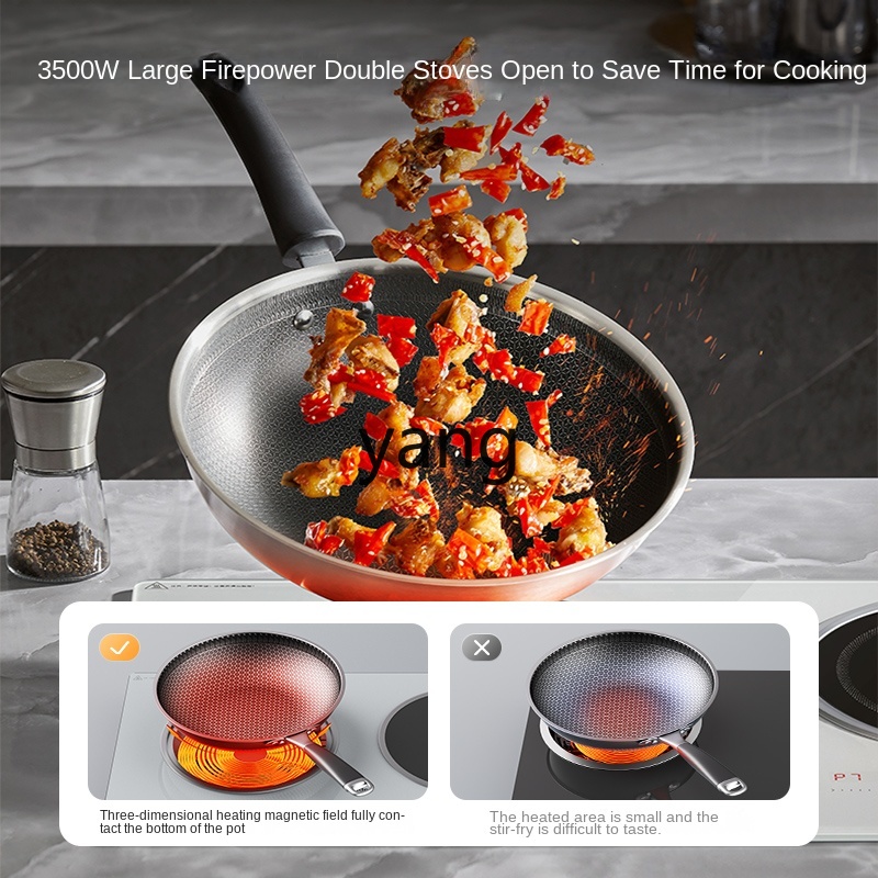 LMM Double Burner Embedded Hou - огляд і ціна Induction Cooker
