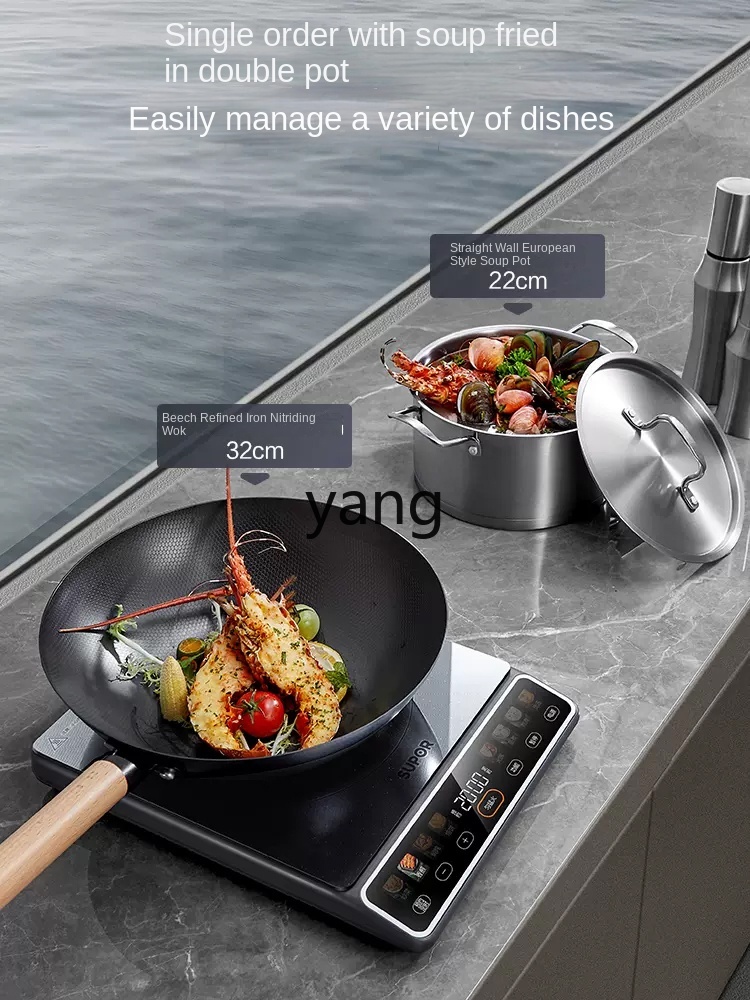LMM High-Power 2200W Household - огляд і ціна Induction Cooker